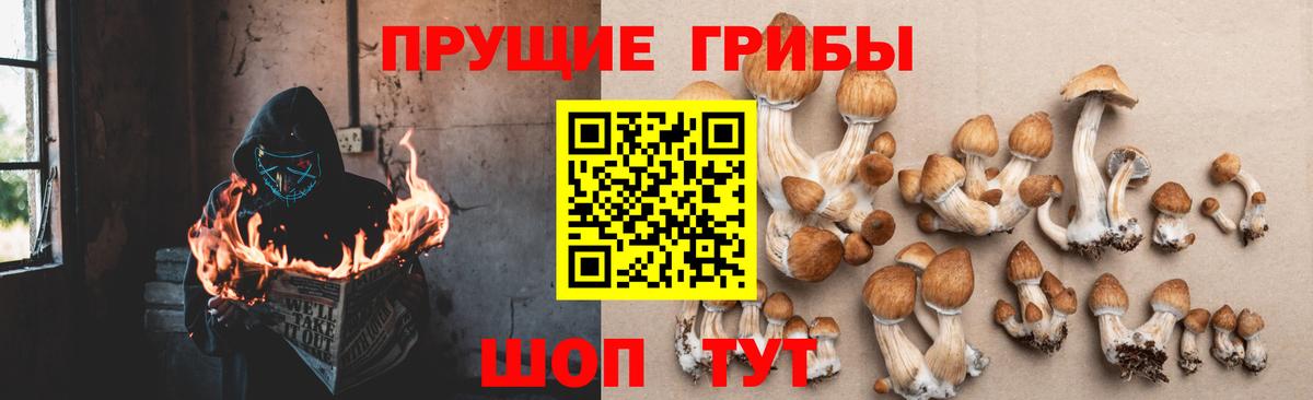 Псилоцибиновые грибы прущие грибы  Вход с VPN  Малгобек 