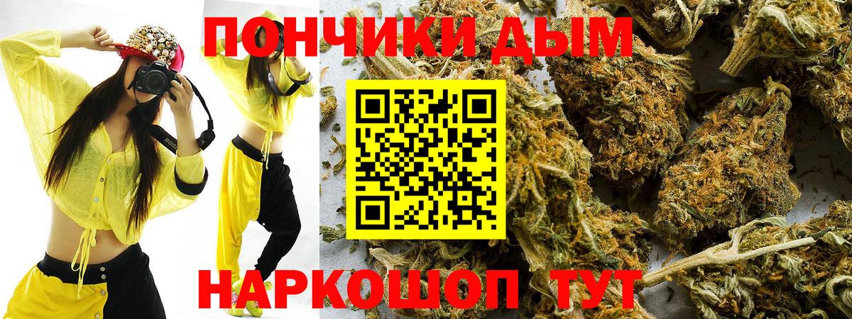 Канабис семена  Шишки марихуана планчик  МАРИХУАНА план  Малгобек  Вход с VPN 